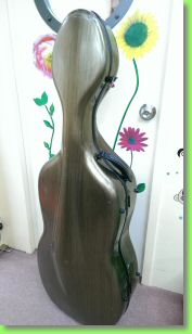 cello case 15 6Z1.jpg